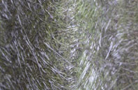 Speen fibreglass roof work